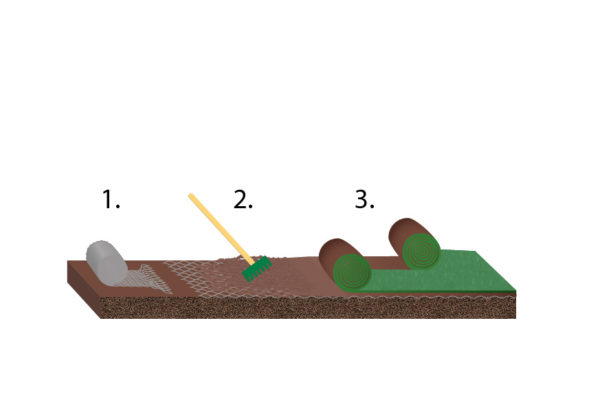 Water storage for plants