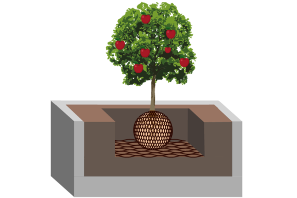 Almacenamiento de agua para las plantas