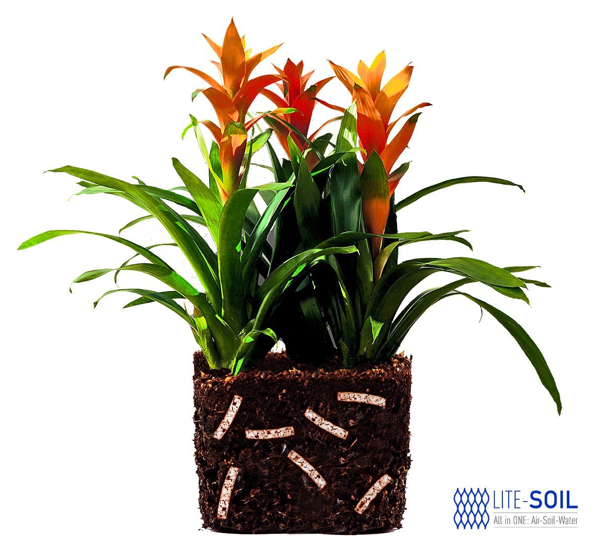 LITE-STRIPS para plantas LITE-SOIL ahorrar agua almacenar agua Plantas Sequía