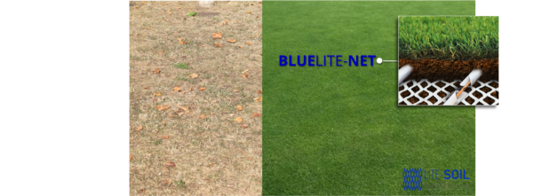 bluelite-net