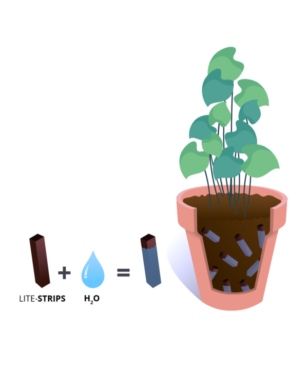 water storage for plants