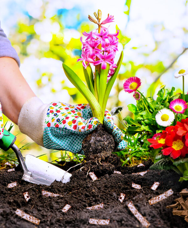 Almacenamiento de agua para las plantas