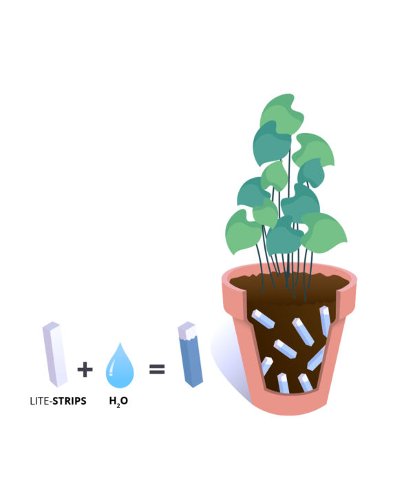 Almacenamiento de agua para las plantas